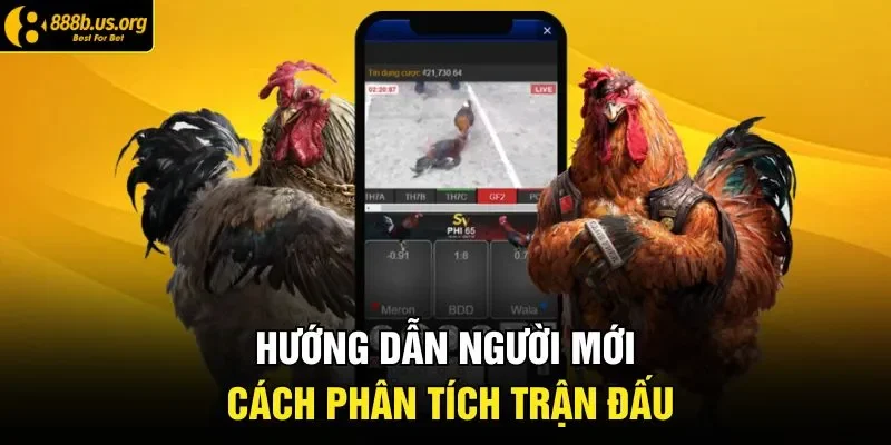 Hướng dẫn người mới cách phân tích trận đấu