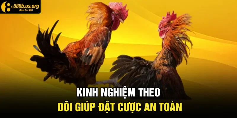 Kinh nghiệm theo dõi giúp đặt cược an toàn