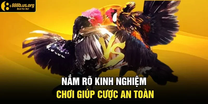 Nắm rõ kinh nghiệm chơi giúp cược an toàn