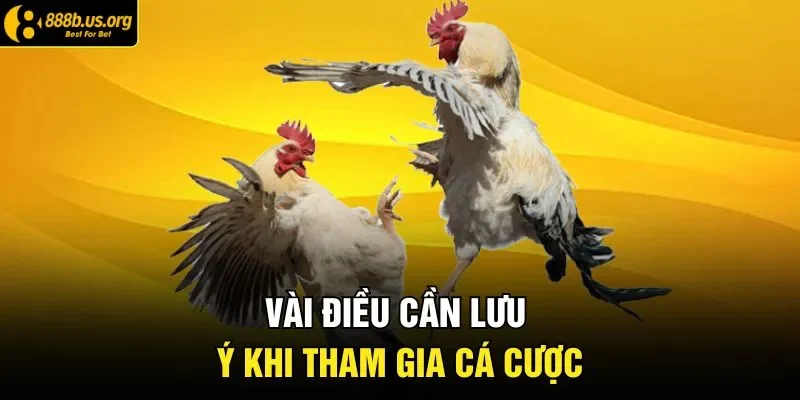 Vài điều cần lưu ý khi tham gia cá cược