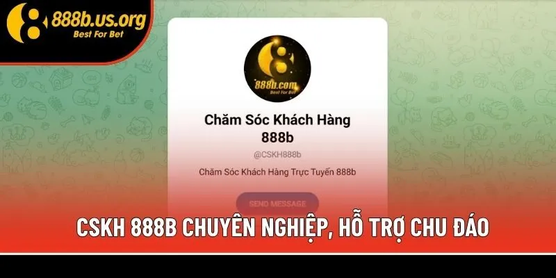 CSKH 888b chuyên nghiệp, hỗ trợ chu đáo